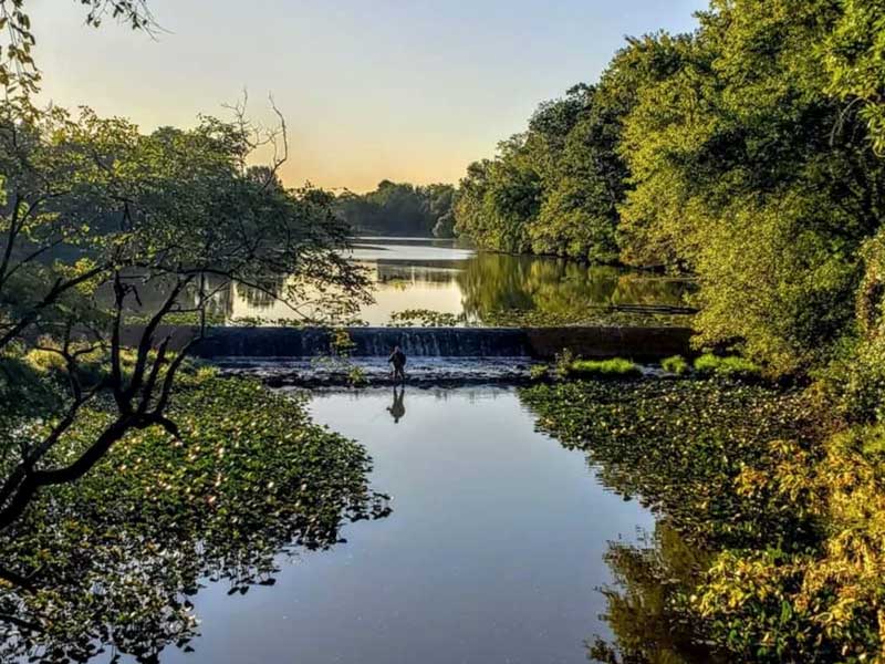 Strawbridge Lake Beautification 